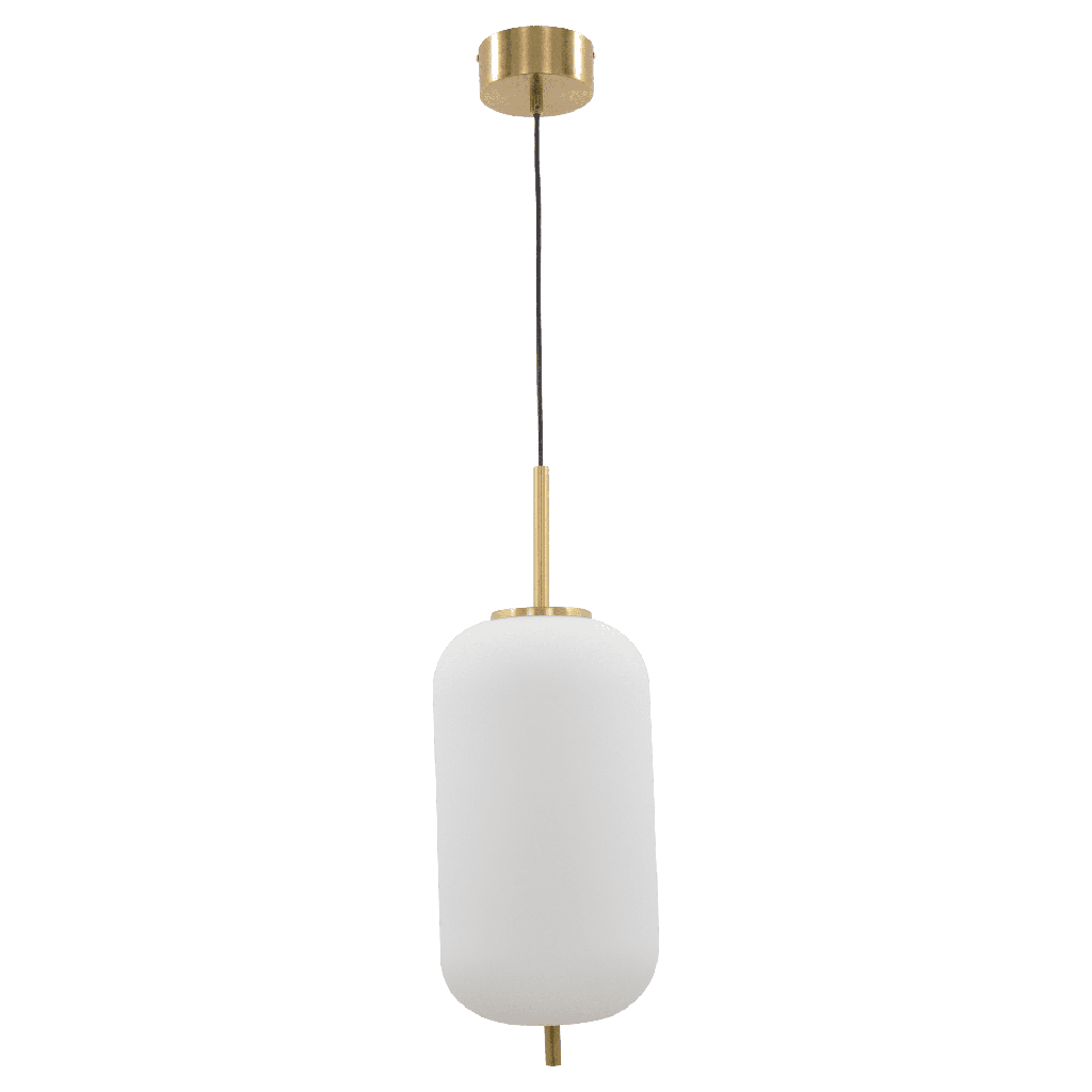 803-IJJA-034-SUSPENSION LED 220V 24W L220*H1200MM IJJA