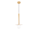 C-SUP-290776- SUSPENSION 1*G9 220V OLINARA