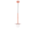 C-SUP-270776- SUSPENSION 1*G9 220V OLINARA