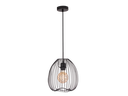 803-FANCY-002- SUSPENSION E27 220V D250