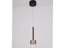 803-LEANE-007-SUSPENSION LED D74H 1500